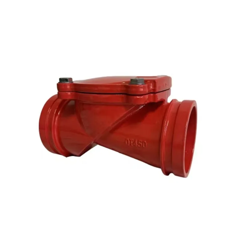 Groove Rubber Flap Check Valve