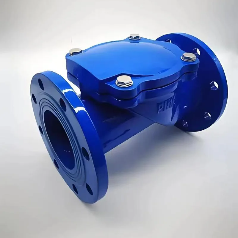 Katup Periksa Tutup Karet